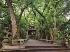 -蒋氏故居