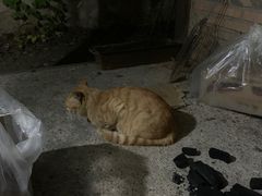 -不止轰趴独栋别墅户外烧烤(颐西庄园店)