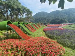 -广州市石门国家森林公园