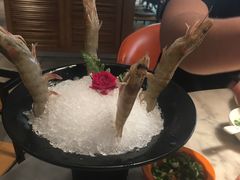 -好彩猪肚鸡(正弘城店)