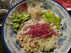 -大海碗·炸酱面·烤鸭·京菜(天坛店)