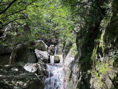 -牛背梁国家森林公园