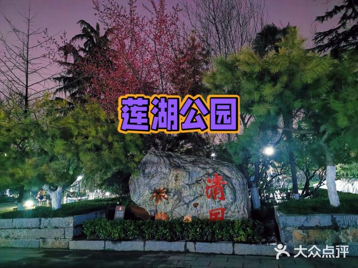 莲湖公园图片