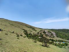-大姆山草场