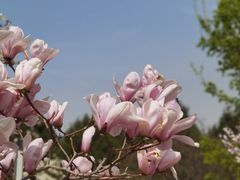 -太阳宫公园