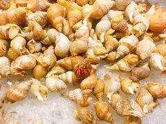 -苏州吴江盛虹万丽酒店-燃餐厅(盛泽店)
