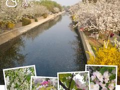 -海棠花溪(元大都城垣遗址公园)
