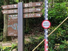 -楠溪江石桅岩