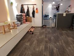 -浣熊柯尔鸭土拨鼠·电玩咖