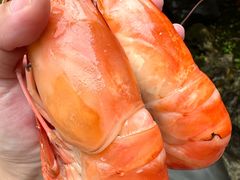 -蟹村草堂·苏式园林人文农家·大闸蟹