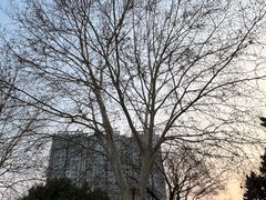 -南北地理分界线标志园