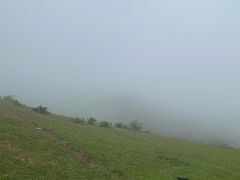 -大姆山草场