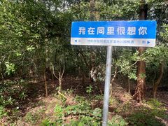 -同里国家湿地公园