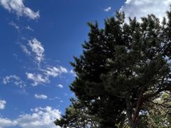 -北京西山国家森林公园