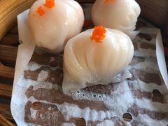 虾饺-喜粤糖朝餐厅(三八广场店)