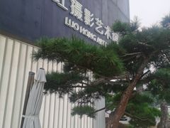 -罗红摄影艺术馆