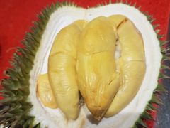 -都念榴莲·城市榴莲