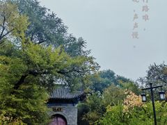 -北山公园