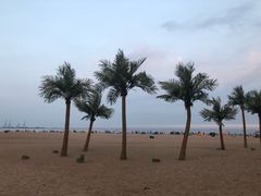 -北戴河东海水浴场