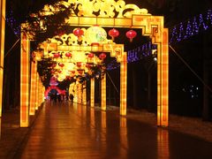 -长春市南湖公园