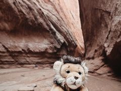 -天山神秘大峡谷