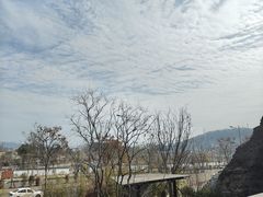 -雅苑中餐厅