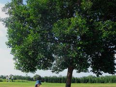 -汉长安城未央宫国家考古遗址公园