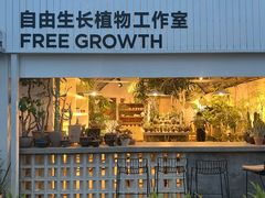 -自由生长植物工作室(深港花卉中心店)
