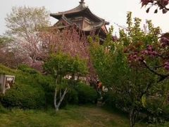 -西安青龙寺遗址景区