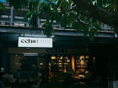 -Echo回声黑胶唱片咖啡馆