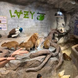-Zoolung Zoolung动物主题公园(海信广场店)