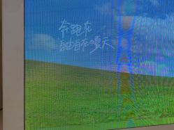 -小阿福儿童摄影(光谷时代广场店)