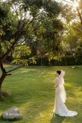 -B.Bridge Couture婚纱礼服(福田店)