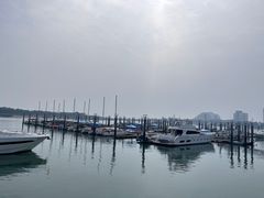-日照世帆赛基地