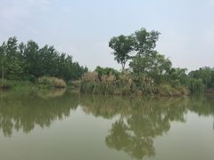 -白鹭湾湿地公园