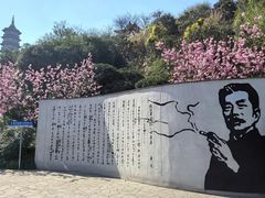 -重庆园博园