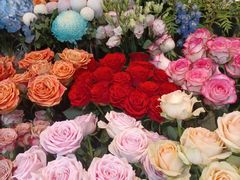 -爱尚幸福鲜花(上地实体店)