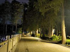 -东湖落雁景区
