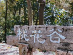 -中山市树木园