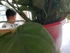 -德克士(茶店子客运站店)