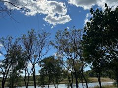 -永定河休闲森林公园