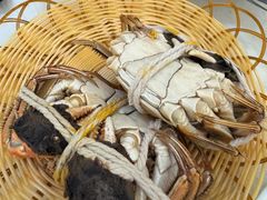 -蟹村草堂·苏式园林人文农家·大闸蟹