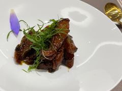 -丁老爷子苏香圆