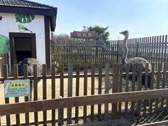 -太阳岛旅游度假区