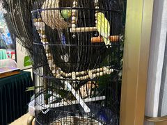 -雀蓝川菜(星悦汇店)