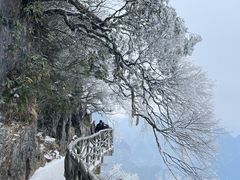 -张家界天门山国家森林公园