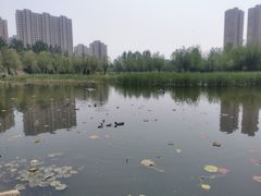 -前关湿地公园