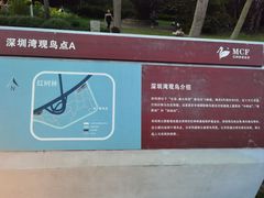 -深圳湾公园(南山区)