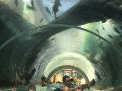 -新加坡水上探险乐园