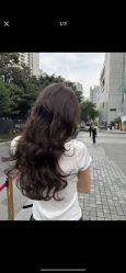 -CARR SALON英伦理容专业店